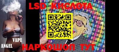 прущие грибы Новодвинск