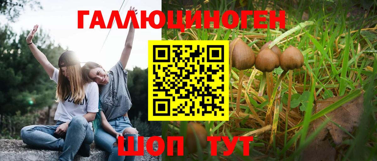 Псилоцибиновые грибы мицелий  Вход с VPN  Тимашёвск  Псилоцибиновые грибы Psilocybine cubensis 