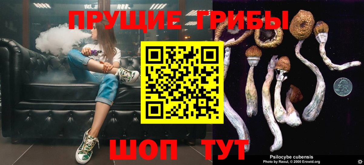 Псилоцибиновые грибы ЛСД Тимашёвск